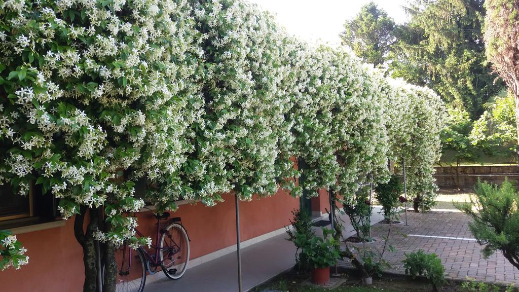 Dreon B&B Portogruaro Buitenkant foto